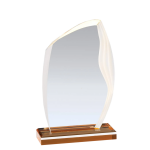 Wave Edge Acrylic Gold Award Medium