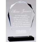 Faceted Bloom Acrylic Award