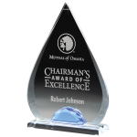 Teardrop Lucite Award