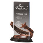 Brilliance Clear Rectangle Award Medium