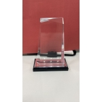 Gem Style Silver Award Large