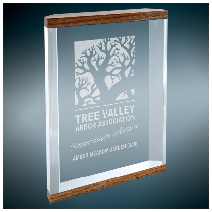 Capri Clear Acrylic Award w Wooden strip 5x7"